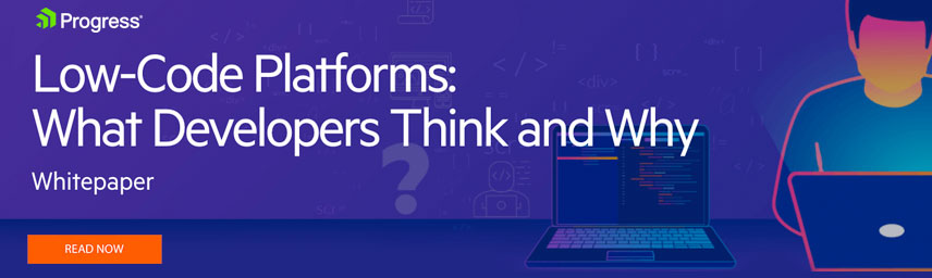 Free Whitepaper: Low-Code Platforms: What Developers Think and Why